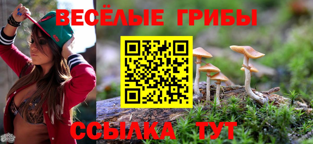 Гусь-Хрустальный  Псилоцибиновые грибы GOLDEN TEACHER  Вход с VPN 